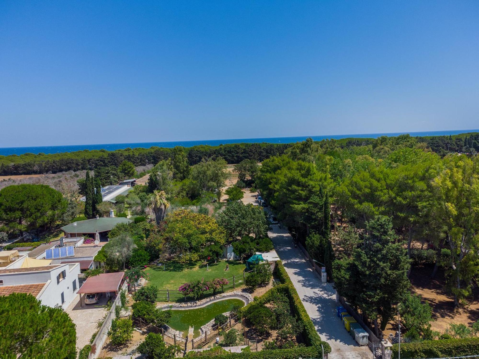 Bio Agriturismo Salos Alimini Εξωτερικό φωτογραφία