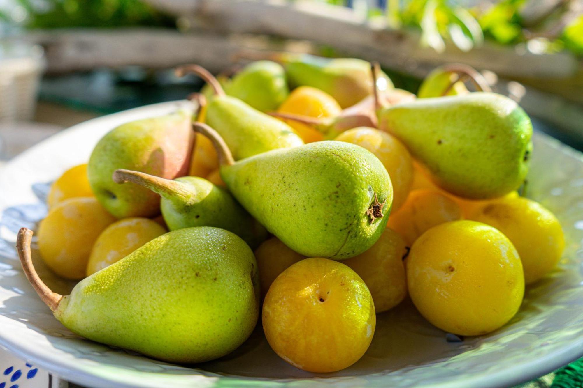 Bio Agriturismo Salos Alimini Εξωτερικό φωτογραφία