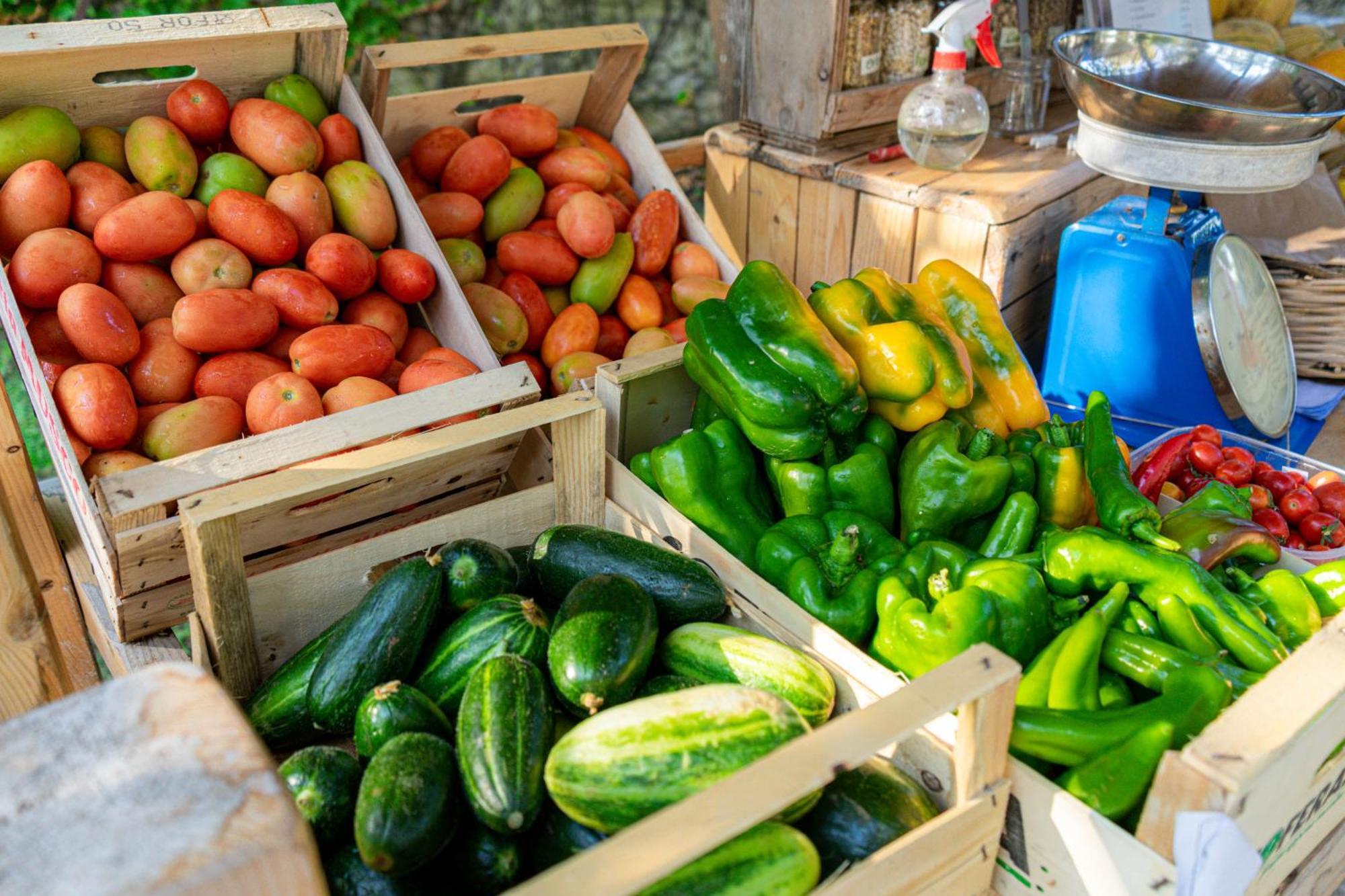 Bio Agriturismo Salos Alimini Εξωτερικό φωτογραφία