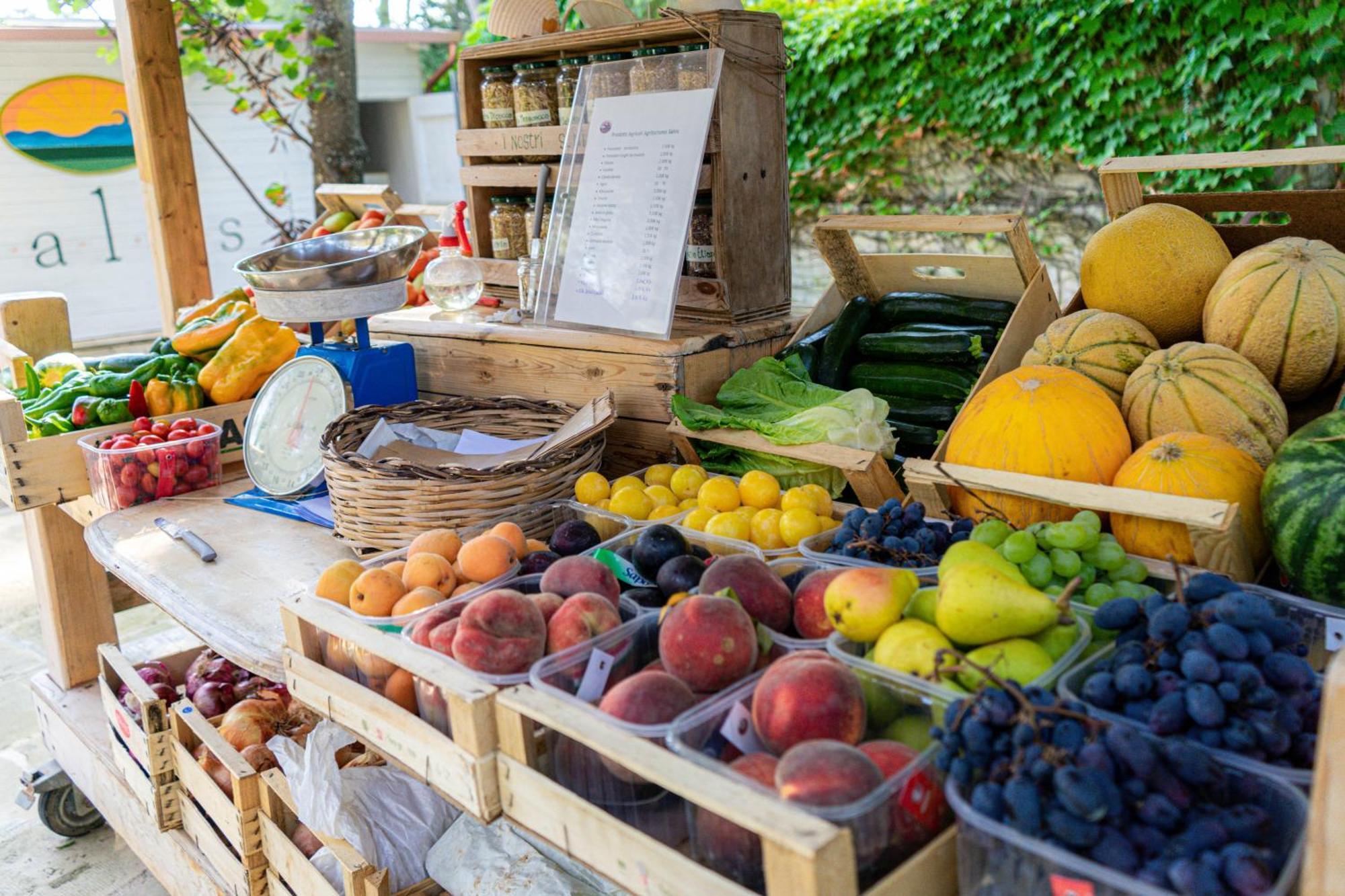 Bio Agriturismo Salos Alimini Εξωτερικό φωτογραφία