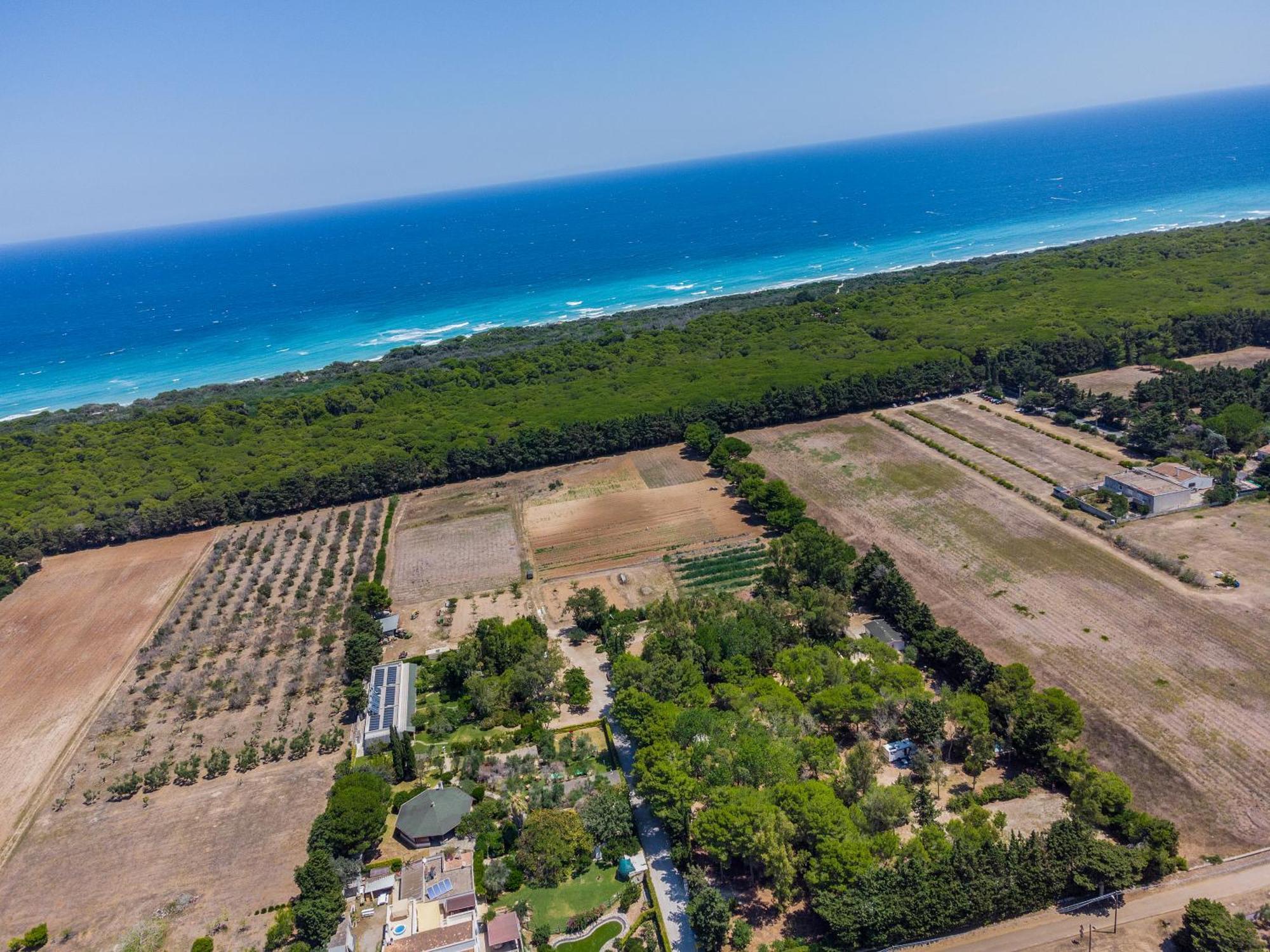 Bio Agriturismo Salos Alimini Εξωτερικό φωτογραφία
